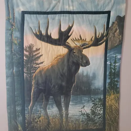 Katahdin'S Shadow Lodge Linneus Exterior foto